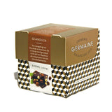 ijsdoos GIANDUIA